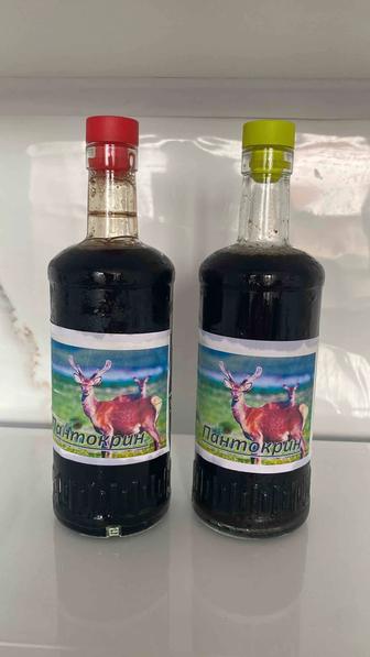 Катон-Карагайский ПАНТОКРИН, свежий, 100% натуральный