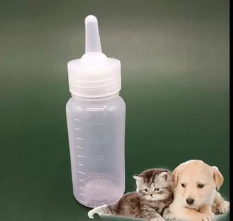 Бутылочка для кормления котят