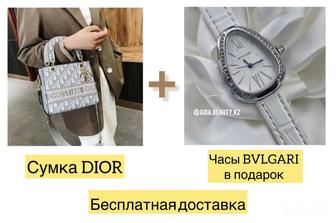 Сумка Christian Dior