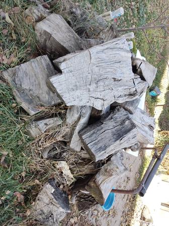 Дрова, сухие, 5 кубов