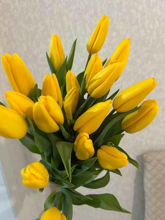 Цветы-Тюльпаны