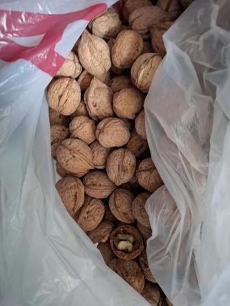 ОРЕХ свежий урожай