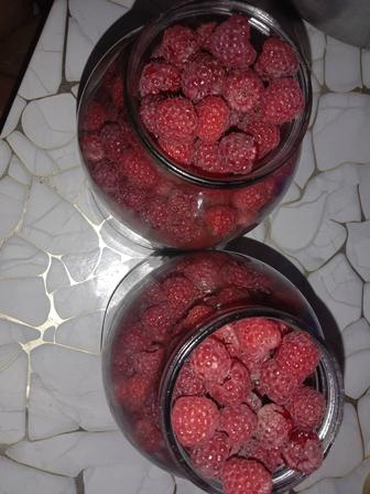 Продаю МАЛИНУ
