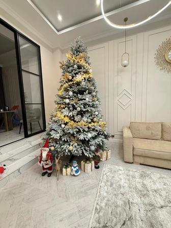 Продажа новогодней елки