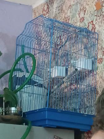Клетка для попугаев