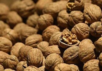 Таудың жаңғағы сатылады