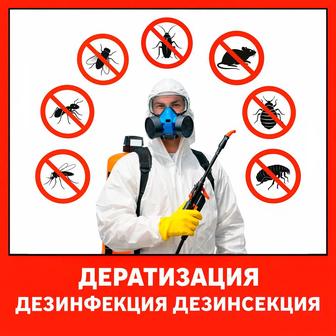 Профессиональная Дератизация, Дезинсекция, Дезинфекция.