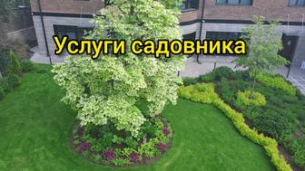Услуги садовника. Садовник.