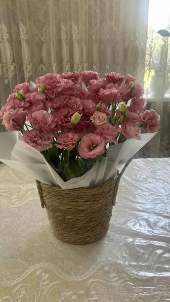 Продаются свежие цветы, подаренные сегодня.