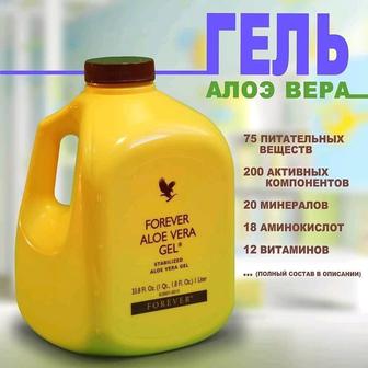 Алоэ вера