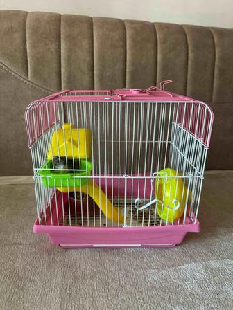 Хомяк с клеткой