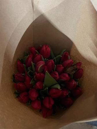 Голландские Тюльпаны оптом и в розницу