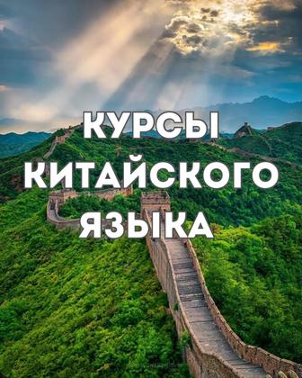 Репетитор Китайского языка