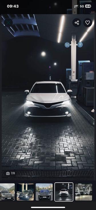 Трезвый водитель