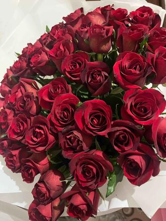 Розы 80 см