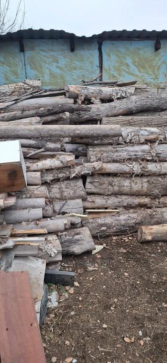 Дрова тополь