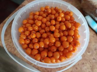 Облепиха на заказ