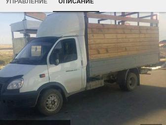 Қала обл газель бар