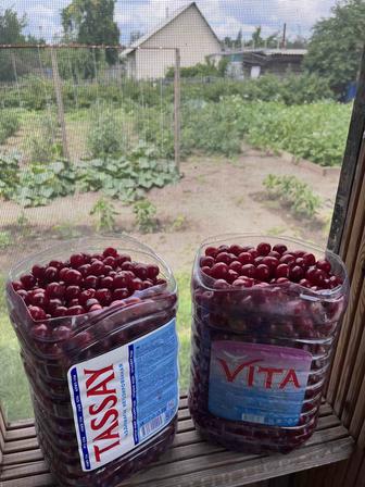 Продам вишню