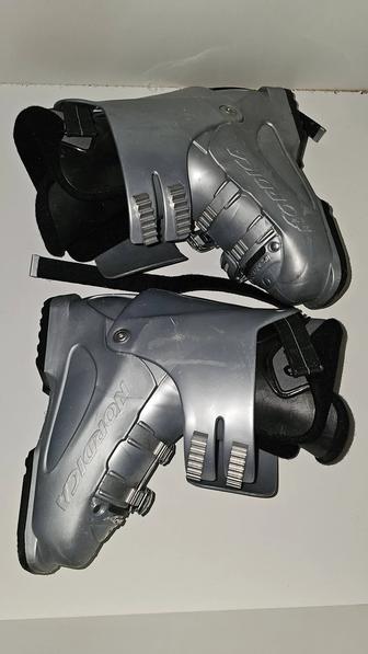 Горнолыжные ботинки