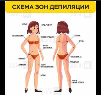 Нужны модели на шугаринг