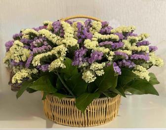 Продам свежий букет из статицы