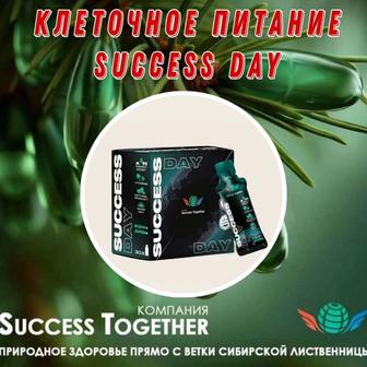 Клеточное питание Success Day