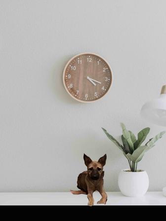 Милая девочка-щенок