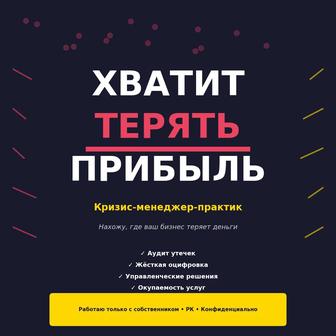 Аудит и оцифровка бизнеса. Вывод из убытка в прибыль.