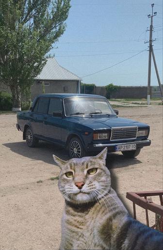 Трезвый водитель