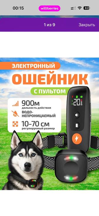 Ошейник Антилай или Антимяу для дрессировки кошек и собак