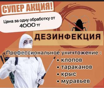 Дезинфекция