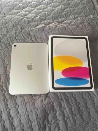 iPad 2025 (A16) 128GB