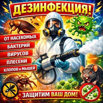 Дезинфекция