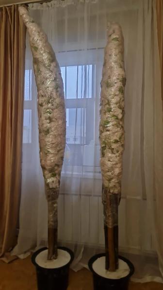 Сакура цветы 225см