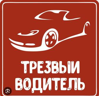 Трезвый водитель