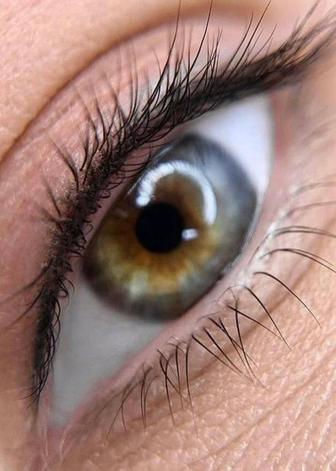 Перманентный макияж бровей, глаз,губ