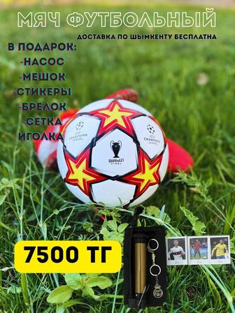 Лига чемпионов футбольные мячи НАСОС и ПОДАРОК. Бесплатная доставка!
