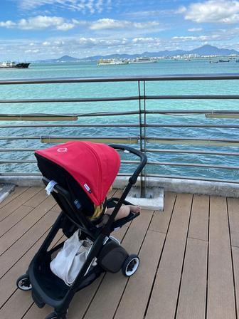 Коляска Bugaboo Ant