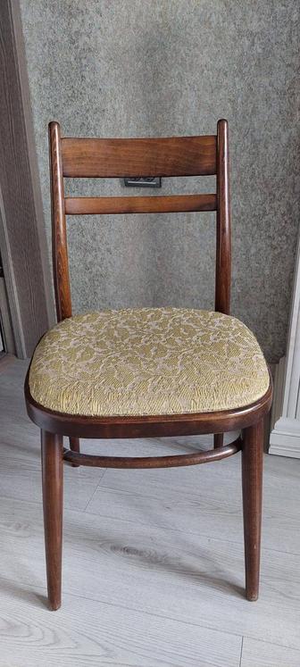 Продам стулья