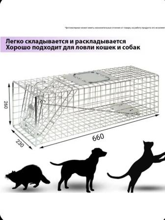 Котоловка, Клетка ловушка для животных