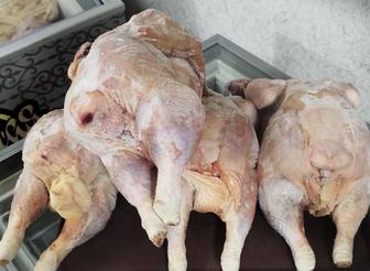 Эко мясо БРОЙЛЕРА