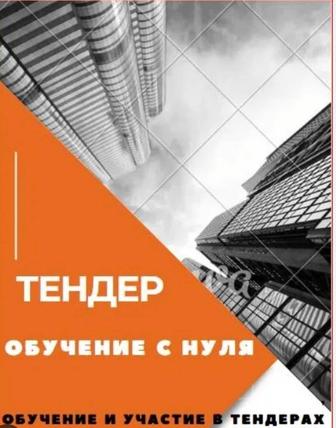 Обучаю тендерам