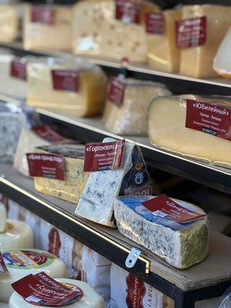 Мобилограф на час