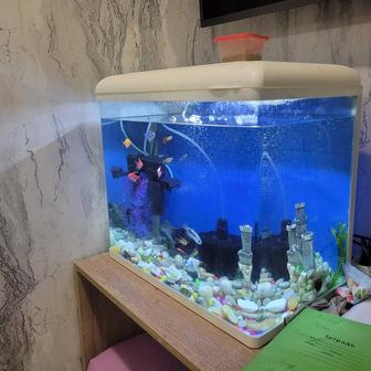 Аквариум и рыбками!