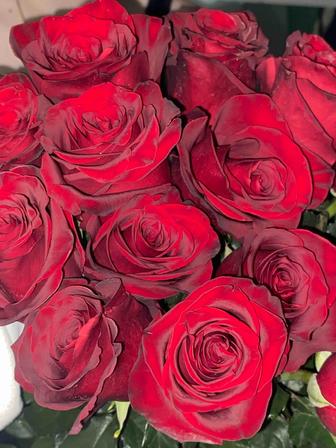 Продам цветы