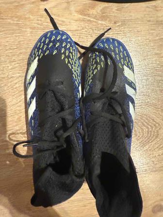 футбольные сороконожки адидас predator и шорты adidas