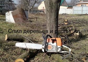 Спил распил деревьев обрезка деревьев