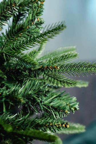 Ёлка, ель , новогодний елка, елка