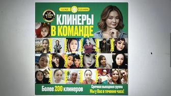 Профессиональный клининг